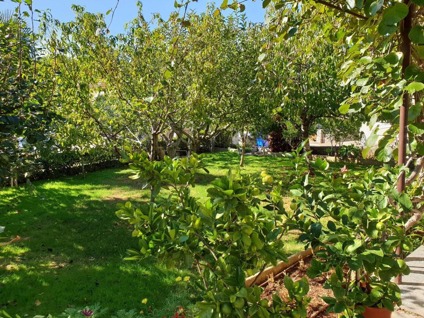Apartments Nevenka K. Čižići Dış mekan fotoğraf